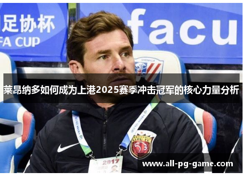 莱昂纳多如何成为上港2025赛季冲击冠军的核心力量分析