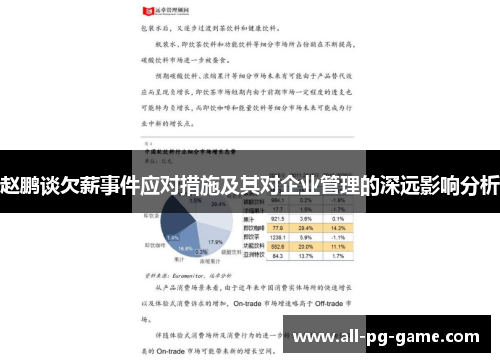 赵鹏谈欠薪事件应对措施及其对企业管理的深远影响分析
