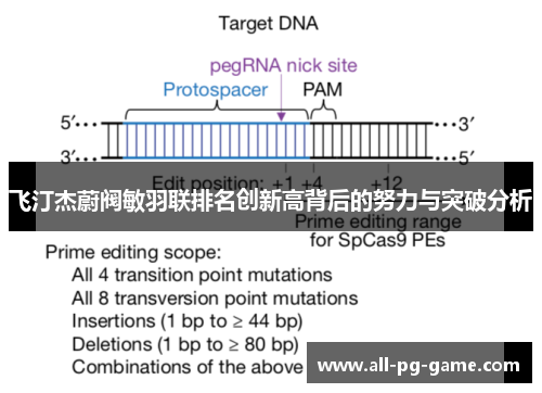 飞汀杰蔚阀敏羽联排名创新高背后的努力与突破分析